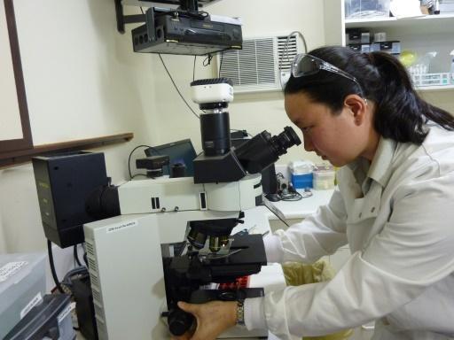 Una científica trabaja en un laboratorio en Dubbo (Australia)