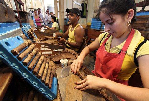 Mujeres armadoras de habanos en Cuba.