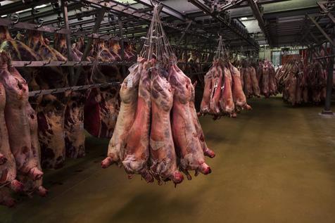 La carne podrida que se distribuye en Brasil