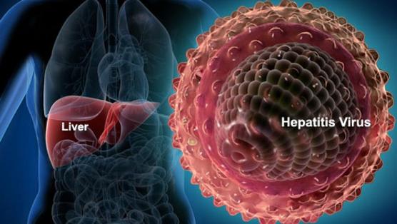 La hepatitis C se transmite sobretodo por la sangre.