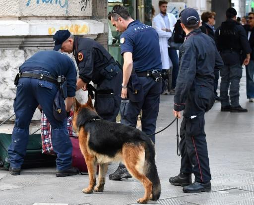 Los policías registras maletas con un perro que huele las mismas