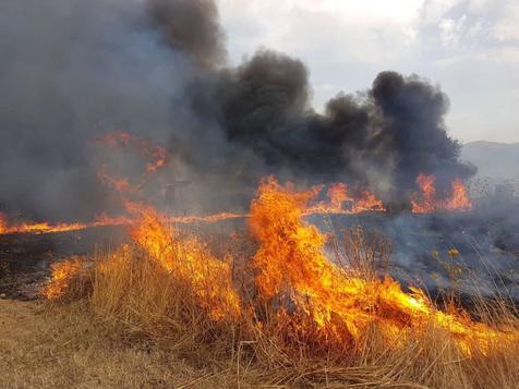 Incendios forestales en Cerdeña, verano caliente en Italia, pleno de percances. 