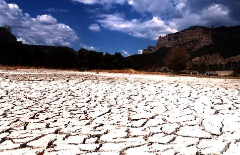 Altas temperaturas y sequías, consecuencias del cambio climático. 