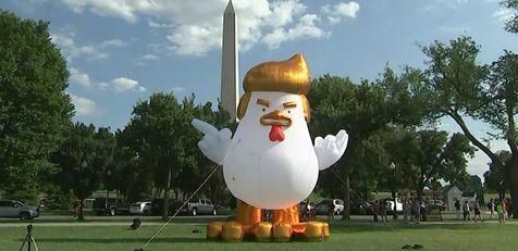 El pollo Trump, una burla para el presidente. Montado cerca de la Casa Blanca, en Washington. 