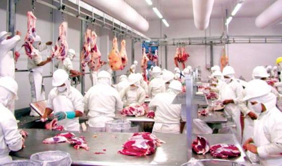 Europa consume 8 millones de toneladas de carne vacuna al año. 