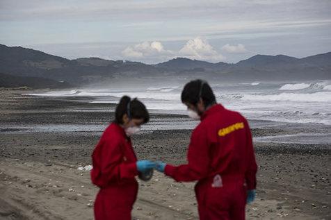 Ecologistas de Greepeace controlan marea roja en Chile (foto: Greenpeace)
