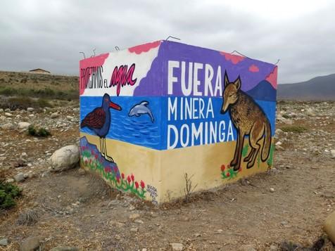 Una imagen ampliamente difundida en las redes sociales contra el proyecto minero de Dominga, en Chile (foto: Ansa)