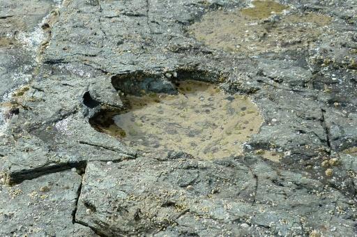 Una huella de saurópodo descubierta en la isla escocesa de Skye, difundida por la Universidad de Edimburgo 