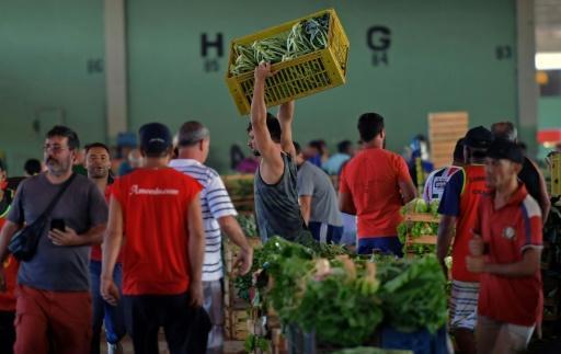 Un vendedor lleva un cajón de verdura en el mercado CEASA de Rio, ayer