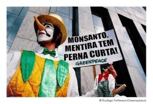 Tratan de mentiroso y evasor a Monsanto