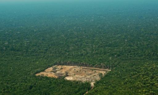 Vista aérea de un zona deforestada en la región amazónica de Brasil