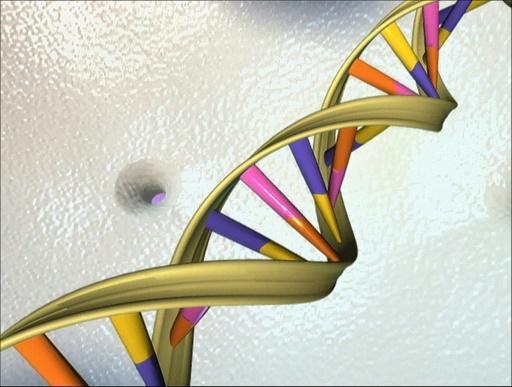 Representación del ADN, conformado por una doble hélice