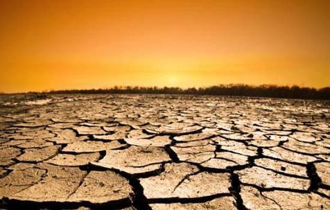 Más sequías, un efecto del calentamiento global (foto: Ansa)