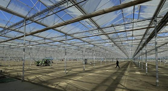 Invernadero donde se cultivaban tomates que está siendo reacondicionado para el cultivo de marihuana en Delta, Canadá