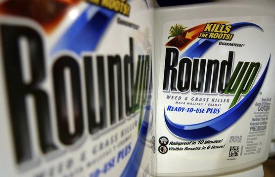 Botellas del herbicida Roundup, de Monsanto