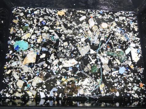 Isla de plástico en el Pacífico (foto: ANSA)