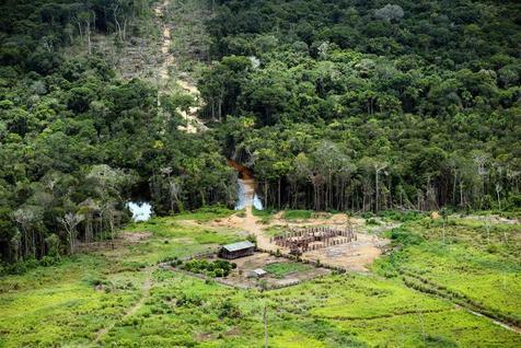Deforestación de la amazonia