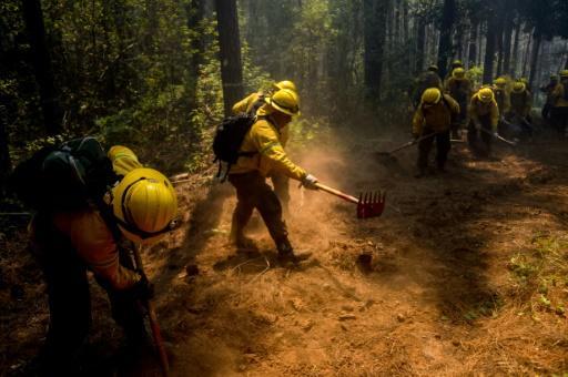 Bomberos apagan incendios forestales en el sur