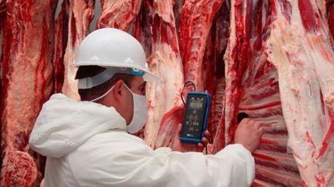 Control de carne bovina en Santa Cruz de la Sierra