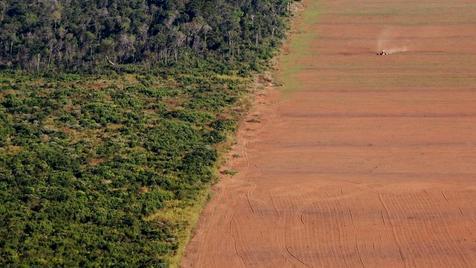 La selva amazónica arrasada para aumentar las áreas de cultivo. Avidez productiva contra ambiente (foto: Ansa)