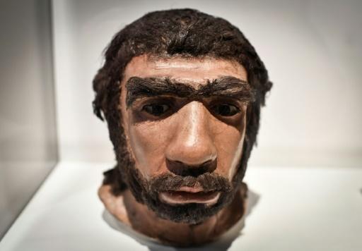 Una representación del neandertal expuesta en marzo de 2018 en el Museo del Hombre de París