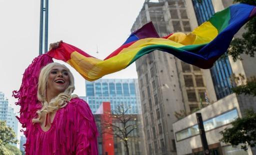 Sao Paulo conmemoró la 23ª edición de la marcha del orgullo LGBT, denominada en esta ocasión "50 años de Stonewall"