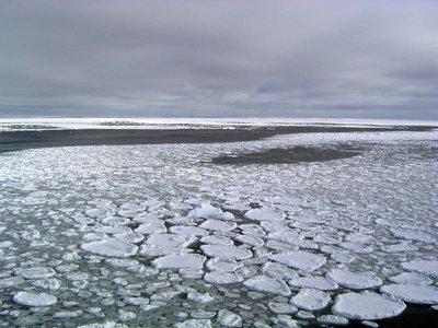 bloques de hielo flotando alrededor de la Antártida