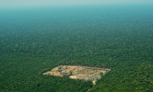 Vista aérea de la Amazonia en el oeste de Brasil