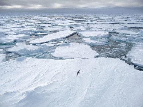 Investigadores chinos estudiarán los mares del Ártico (foto: Ansa)