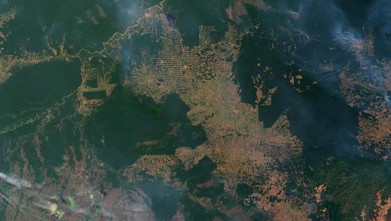 Vista aerea de las áreas deforestadas en la Amazonia peruana