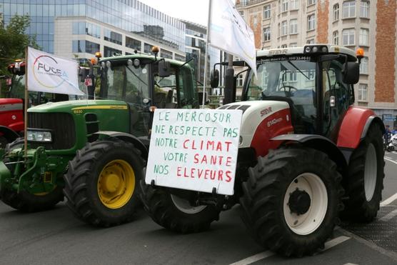 Manifestación en Bruselas contra el acuerdo UE-Mercosur hace un mes