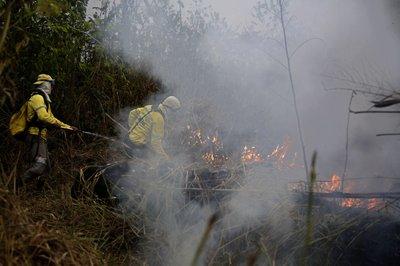 Bomberos intentan apagar el fuego en medio de la selva amazónica brasileña