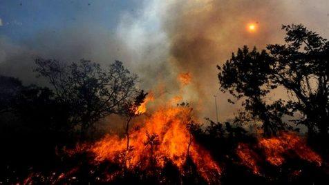 Incendio en Pará (foto: Ansa)