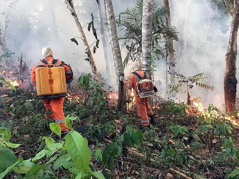 Los incendios en la Amazonia (foto: EPA)