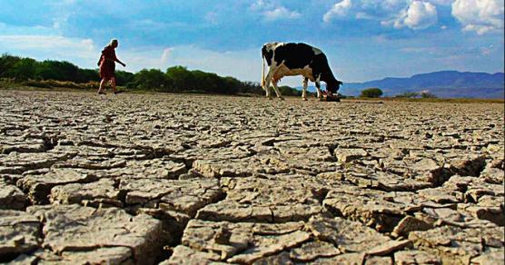 Extendida sequía se sufre en Chile
