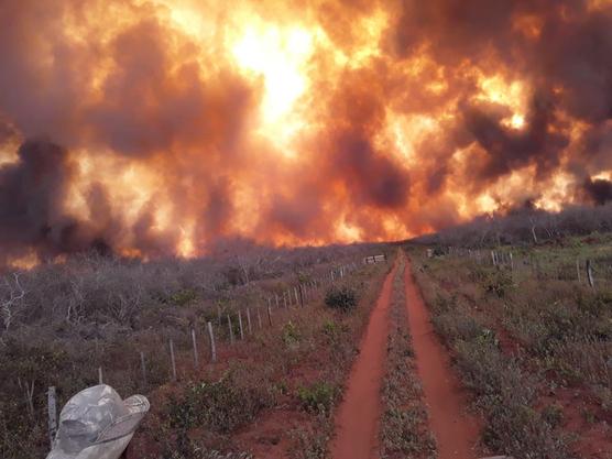 Graves incendios en el noroeste paraguayo