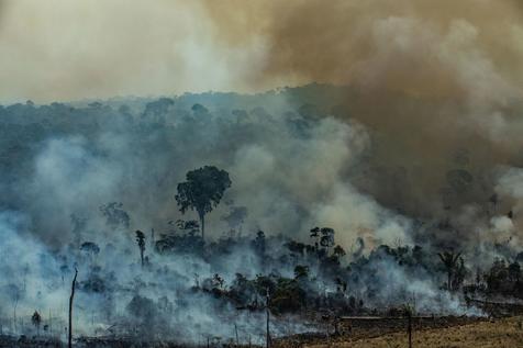 Incendio en el estado de Pará en Amazonas (foto: EPA)