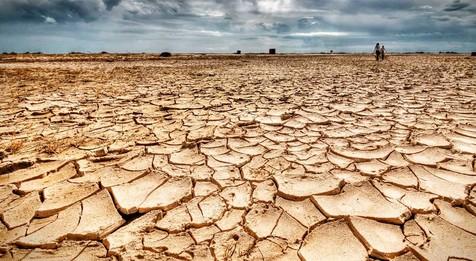 Sequía extrema, consecuencia del cambio climático. Alarmante informe (foto: Ansa)