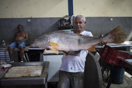 Pescado amazónico conocido como "pescada branca" en el mercado ribereño de Ver-o-Peso en Belén
