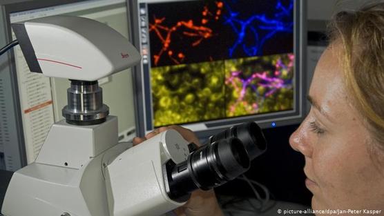 Científica en el Instituto Leibniz para la Investigación de Infecciones, en Jena