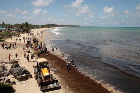 Soldados brasileños limpian playas empetroladas