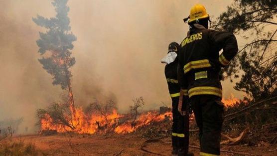 Incendio forestal en Chile