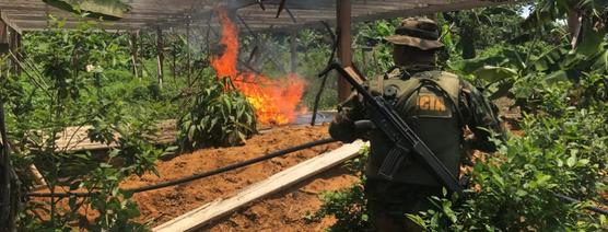 Policía antinarcóticos quema cocaína en la Amazonia
