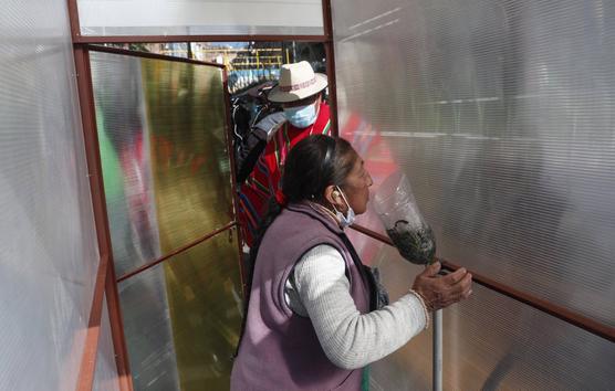 Una mujer respira vapor de hierbas en una cámara desinfectante que ofrece medicina tradicional