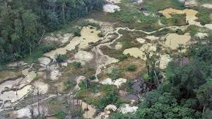 La deforestación de la Amazonia brasileña registró un récord semestral de 3.070 km2 entre enero y junio, en alza de 25%