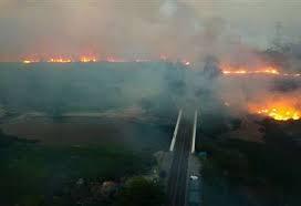 Incendio en el Pantanal brasileño