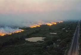 Incendios intencionales destruyen el pantanal