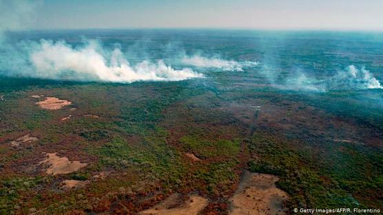 Pantanal incendiado por la especulación ganadera