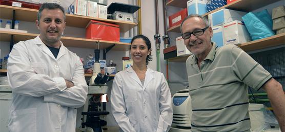 El doctor Gabriel Vinderola, la doctora Patricia Burns y el doctor Jorge Reinheimer.