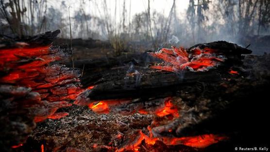 Fuego destruyendo la Amazonía